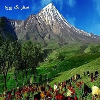 سفر یک روزه
